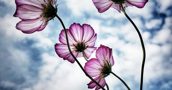 Using Hypnosis to Learn to Listen